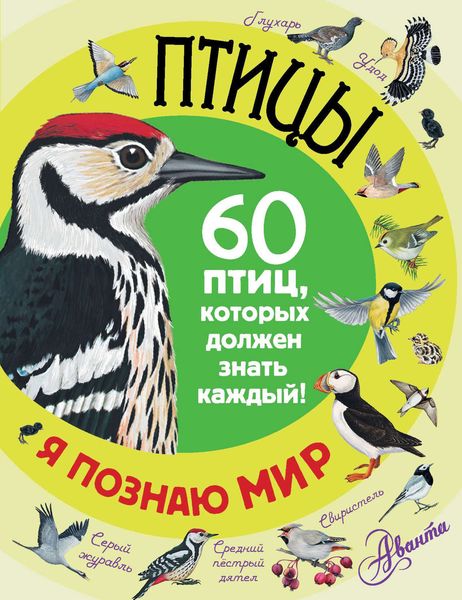 Обложка книги  «Птицы. 60 птиц, которых должен знать каждый»
