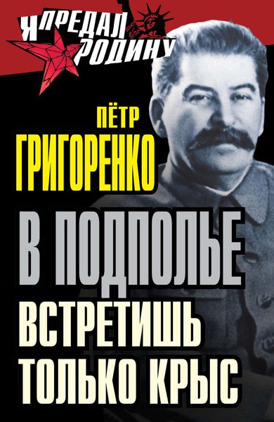Обложка книги  «В подполье встретишь только крыс»