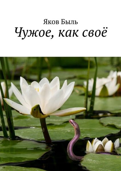 Обложка книги  «Чужое, как своё»