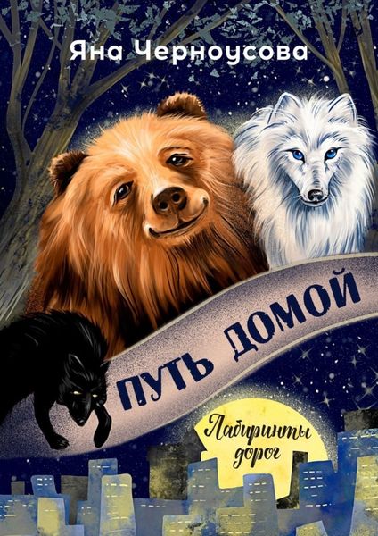 Обложка книги «Путь домой. Лабиринты дорог»