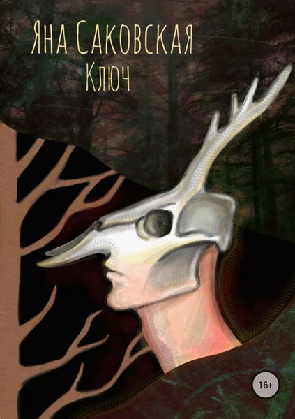 Обложка книги «Ключ»