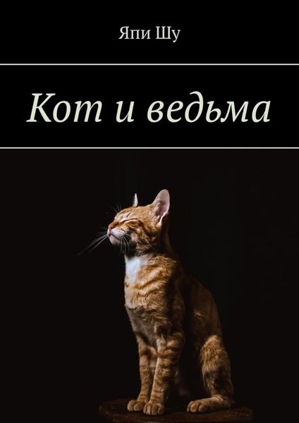 Обложка книги «Кот и ведьма»