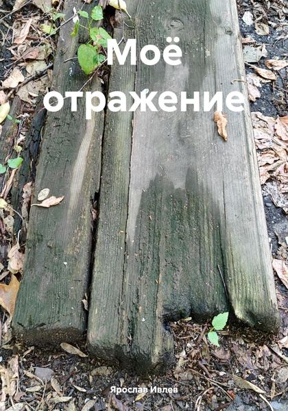 Обложка книги «Моё отражение»