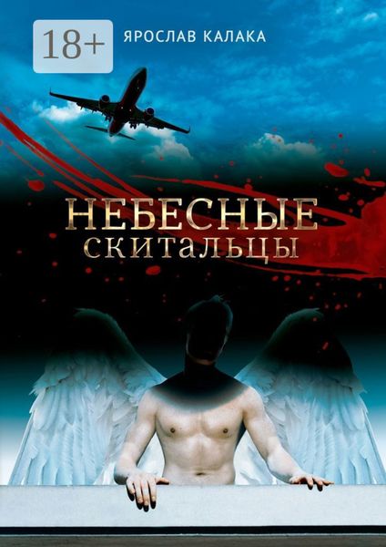 Обложка книги  «Небесные скитальцы»