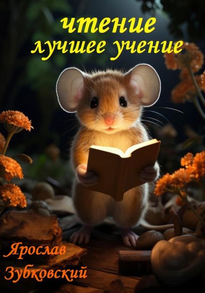 Обложка книги  «Чтение лучшее учение»