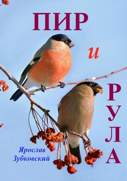 Обложка книги  «Пир и Рула»