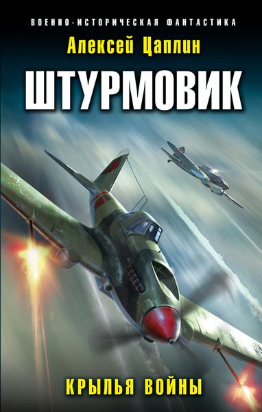 Обложка книги  «Штурмовик. Крылья войны»