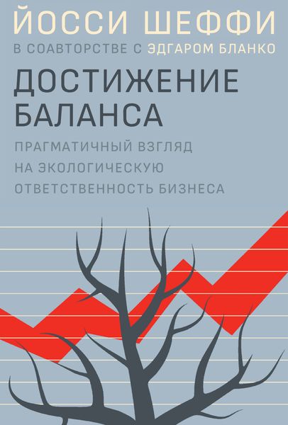 Обложка книги «Достижение баланса»