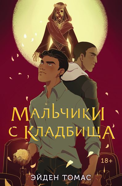Обложка книги  «Мальчики с кладбища»