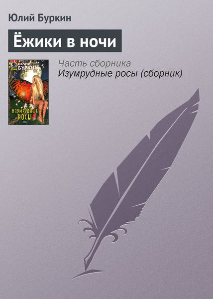 Обложка книги  «Ёжики в ночи»