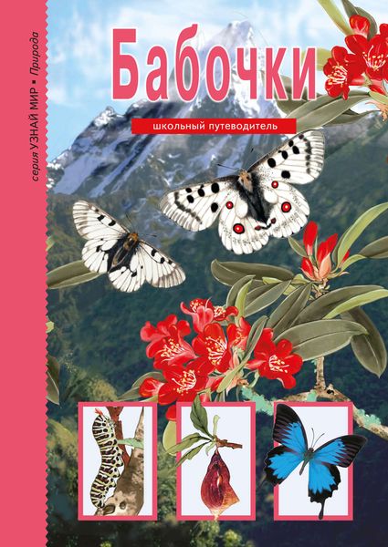 Обложка книги  «Бабочки»