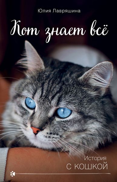 Обложка книги «Кот знает всё»