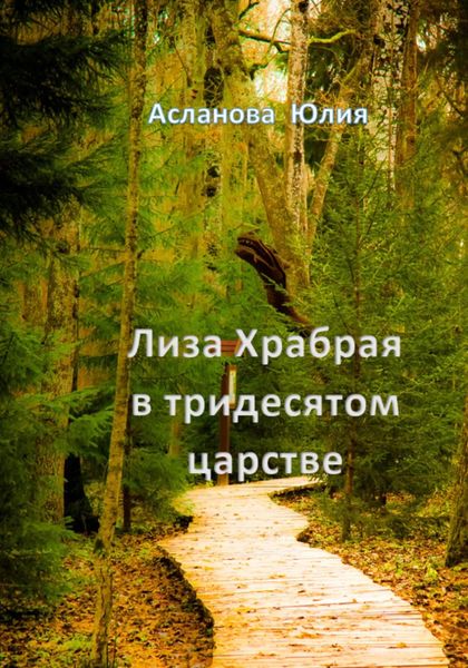 Обложка книги  «Лиза Храбрая в тридесятом царстве»