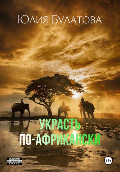 Обложка книги  «Украсть по-африкански»