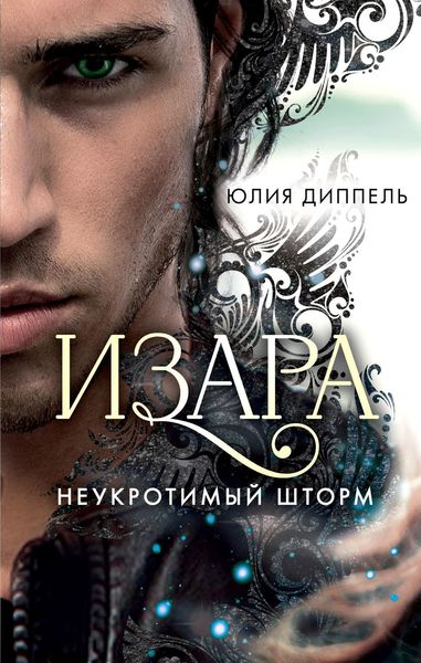 Обложка книги  «Неукротимый шторм»