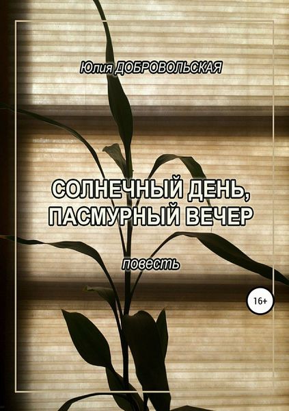 Обложка книги  «Солнечный день, пасмурный вечер»