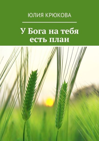 Обложка книги  «У Бога на тебя есть план»