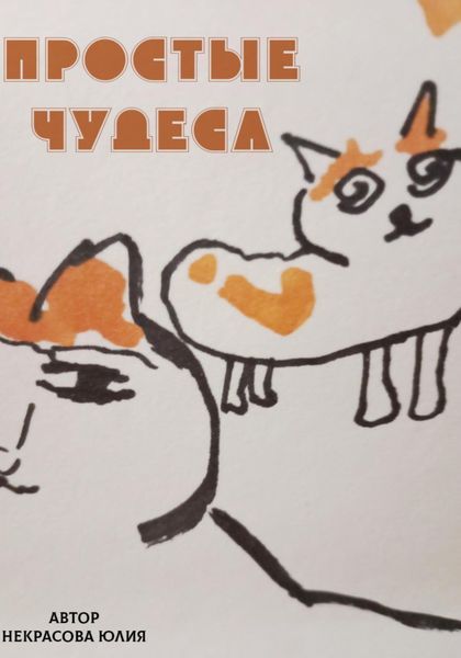 Обложка книги «Простые чудеса»