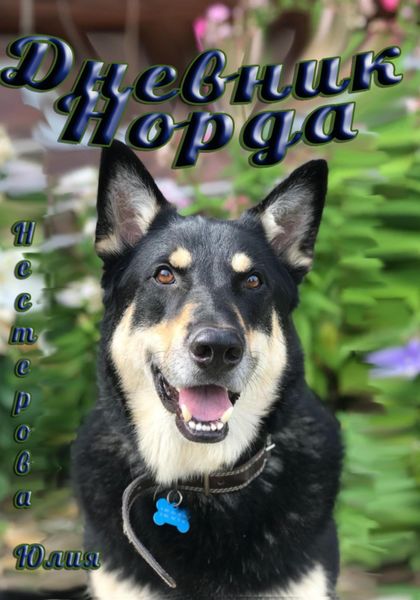 Обложка книги «Дневник Норда»