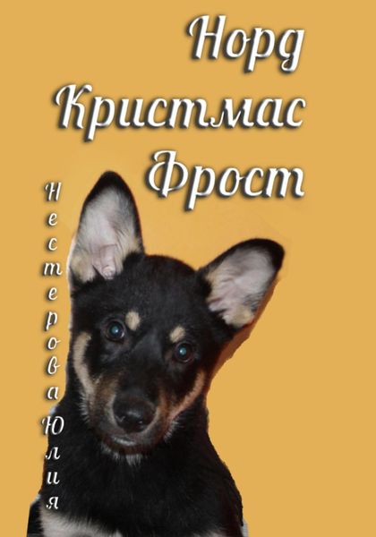 Обложка книги «Норд Крисмас Фрост»
