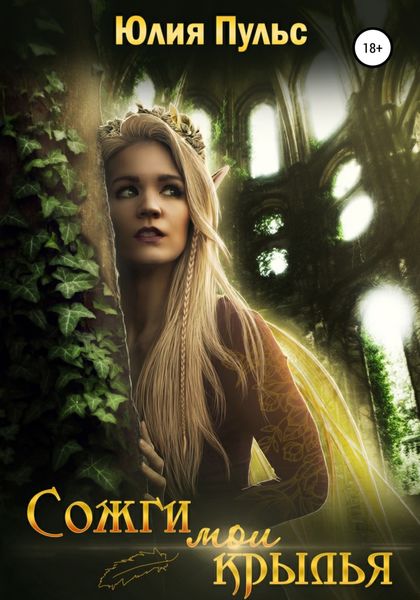 Обложка книги  «Сожги мои крылья»