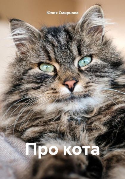 Обложка книги  «Про кота»