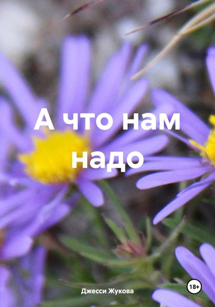 Обложка книги  «А что нам надо»