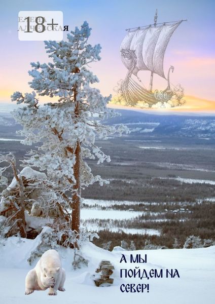 Обложка книги  «А мы пойдем на Север!»