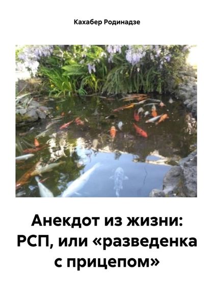 Обложка книги  «Анекдот из жизни: РСП, или «разведенка с прицепом»»
