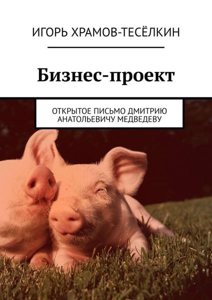 Обложка книги  «Бизнес-проект. Открытое письмо Дмитрию Анатольевичу Медведеву»