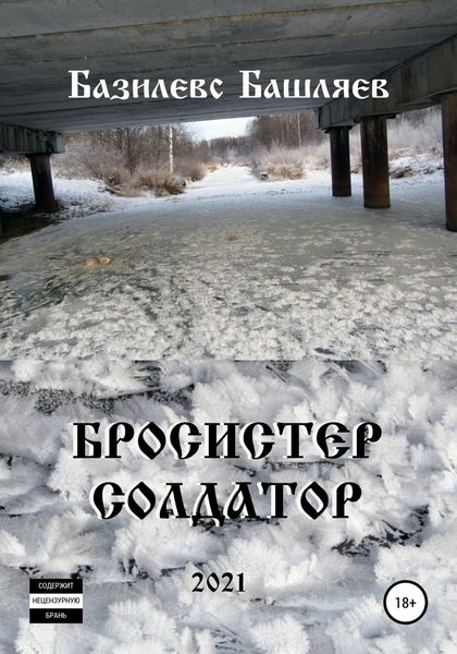 Обложка книги  «Бросистер Солдатор»