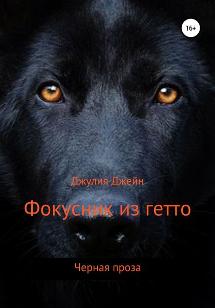 Обложка книги  «Фокусник из гетто»