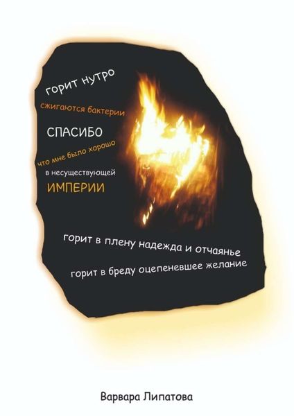 Обложка книги  «Горит нутро»