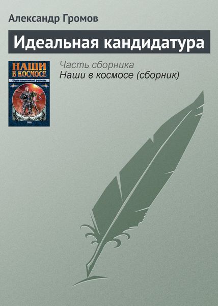 Обложка книги  «Идеальная кандидатура»