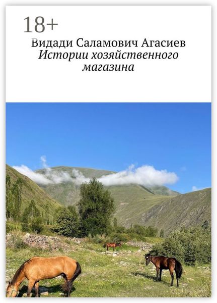 Обложка книги  «Истории хозяйственного магазина»