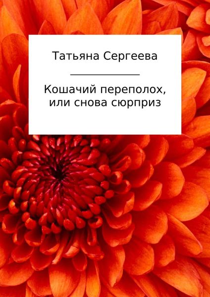 Обложка книги  «Кошачий переполох, или Снова сюрприз»