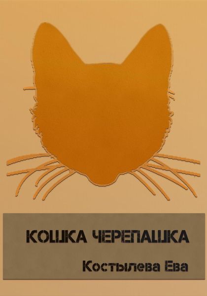 Обложка книги  «Кошка черепашка»