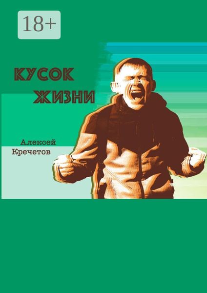 Обложка книги «Кусок жизни»
