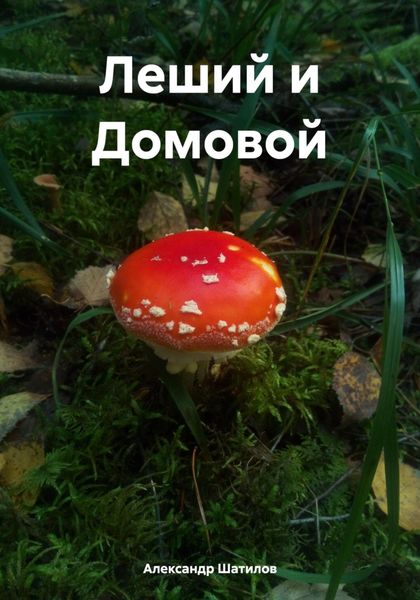 Обложка книги «Леший и Домовой»