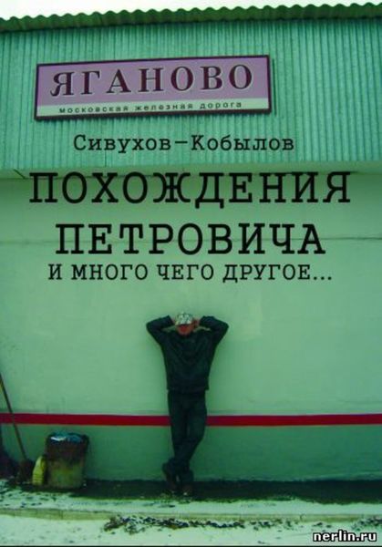 Обложка книги  «ПОХОЖДЕНИЯ ПЕТРОВИЧА и много чего другое…»