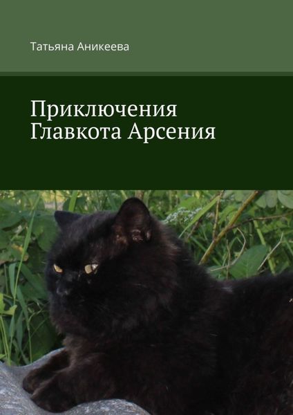 Обложка книги  «Приключения Главкота Арсения»