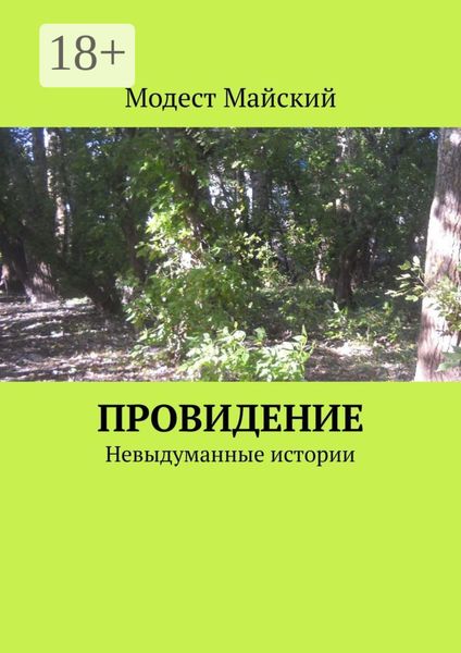 Обложка книги  «Провидение. Невыдуманные истории»