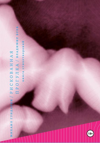 Обложка книги «Рискованная прогулка»