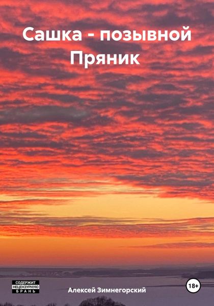 Обложка книги  «Сашка – позывной Пряник»