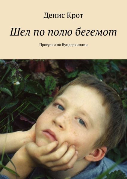 Обложка книги  «Шел по полю бегемот. Прогулки по Вундеркиндии»
