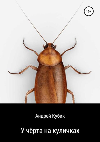 Обложка книги «У чёрта на куличках»