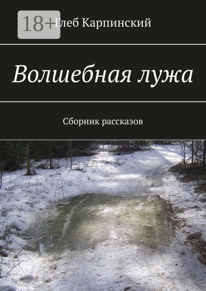 Обложка книги  «Волшебная лужа. Сборник рассказов»