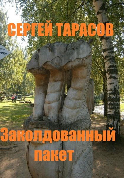 Обложка книги «Заколдованный пакет»