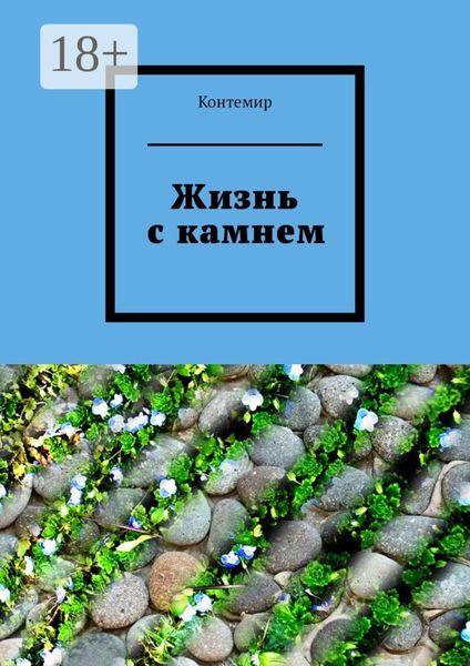 Обложка книги  «Жизнь с камнем»