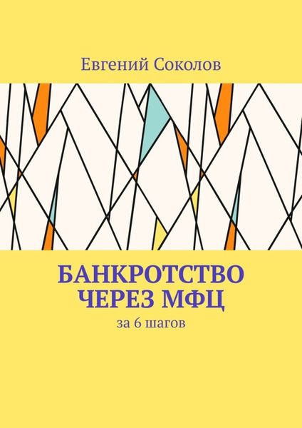 Обложка книги «Банкротство через МФЦ. За 6 шагов»